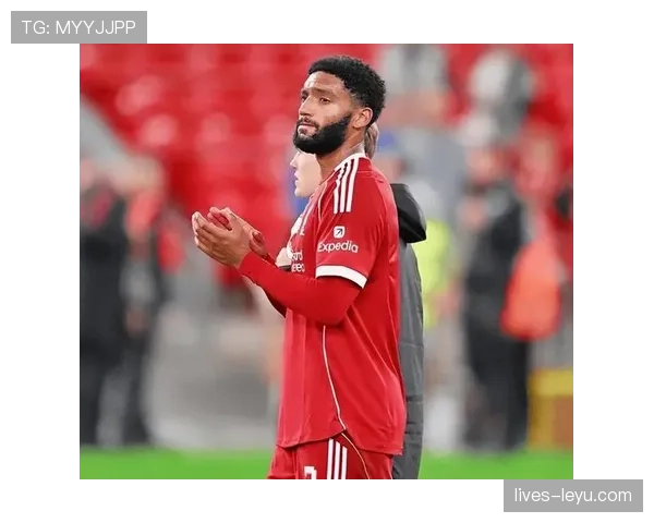 范戴克2025赛季表现稳健，领导力与防守能力再上新台阶