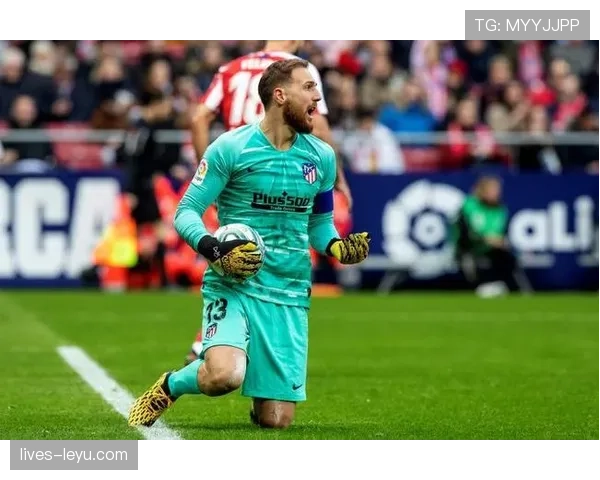 奥布拉克:斯洛文尼亚国家队历史最佳门将传奇